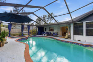 18709 LAKE COMMISTON DRIVE, LUTZ, FL 33549 - MLS#MFRTB8477923