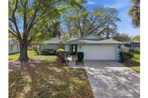 1446 QUEEN ANNE BOULEVARD, PALM HARBOR, FL 34684 - MLS#MFRTB8477938