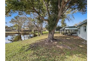 1446 QUEEN ANNE BOULEVARD, PALM HARBOR, FL 34684 - MLS#MFRTB8477938
