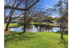 1446 QUEEN ANNE BOULEVARD, PALM HARBOR, FL 34684 - MLS#MFRTB8477938