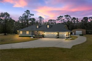 27154 Ravens Brook Rd, WESLEY CHAPEL