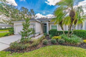 10420 Mulligan Ct, TAMPA