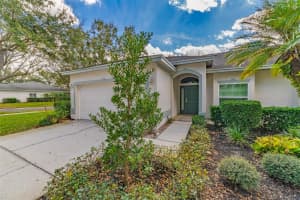 10420 MULLIGAN COURT, TAMPA, FL 33647 - MLS#MFRTB8477945