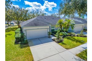 10420 MULLIGAN COURT, TAMPA, FL 33647 - MLS#MFRTB8477945