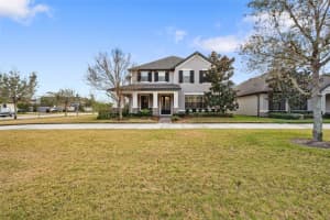 12476 RANGELAND BOULEVARD, ODESSA, FL 33556 - MLS#MFRTB8477972