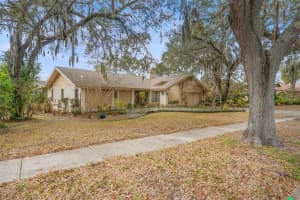 3204 AUTUMN DRIVE, PALM HARBOR, FL 34683 - MLS#MFRTB8478019