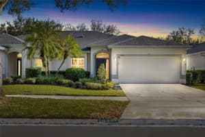 10422 Mulligan Ct, TAMPA
