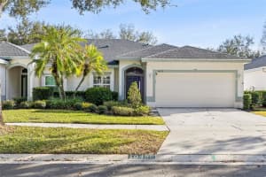 10422 MULLIGAN COURT, TAMPA, FL 33647 - MLS#MFRTB8478030