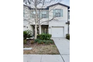 4003 Wild Senna Blvd, TAMPA