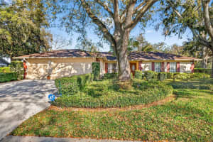 6418 JACQUELINE ARBOR DRIVE, TEMPLE TERRACE, FL 33617 - MLS#MFRTB8478050