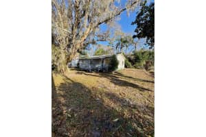 7700 Vine St, LAND O LAKES