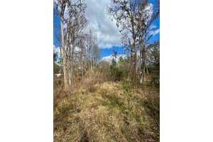 26931 DEACON LOOP, ZEPHYRHILLS, FL 33544 - MLS#MFRTB8478076