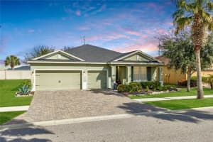11530 LAKE LUCAYA DRIVE, RIVERVIEW, FL 33579 - MLS#MFRTB8478078