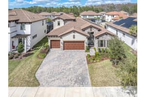 12197 BROKEN OAK LANE, ODESSA, FL 33556 - MLS#MFRTB8478082