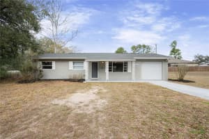 33127 HILDA ROAD, DADE CITY, FL 33523 - MLS#MFRTB8478100