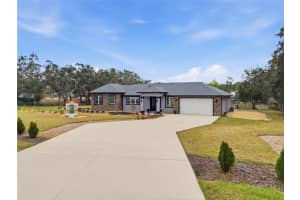 16090 Fringe Tree Dr, SPRING HILL