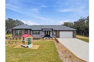 16090 FRINGE TREE DRIVE, SPRING HILL, FL 34610 - MLS#MFRTB8478134