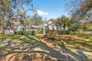 15036 EAGLERISE DRIVE, LITHIA, FL 33547 - MLS#MFRTB8478135
