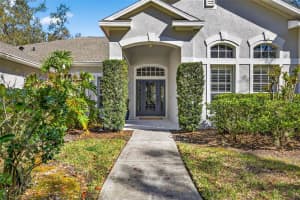 15036 EAGLERISE DRIVE, LITHIA, FL 33547 - MLS#MFRTB8478135