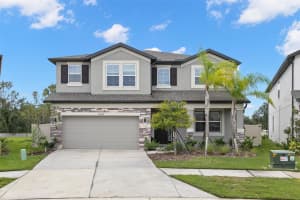 16044 SONOMA GROVE CIRCLE, TAMPA, FL 33647 - MLS#MFRTB8478156