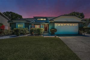 8904 BEELER DRIVE, TAMPA, FL 33626 - MLS#MFRTB8478159