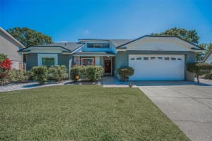 8904 BEELER DRIVE, TAMPA, FL 33626 - MLS#MFRTB8478159