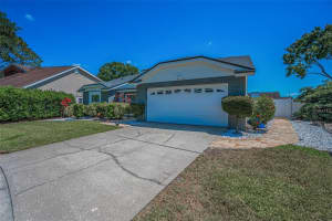 8904 BEELER DRIVE, TAMPA, FL 33626 - MLS#MFRTB8478159