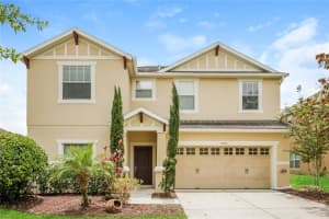 30207 CHEVAL STREET, MOUNT DORA, FL 32757 - MLS#MFRTB8478166