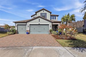 5026 TIVOLI DRIVE, WESLEY CHAPEL, FL 33543 - MLS#MFRTB8478168