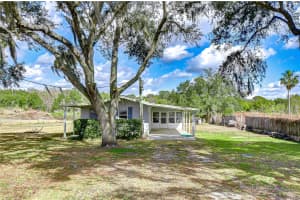 36305 SUNSHINE ROAD, ZEPHYRHILLS, FL 33541 - MLS#MFRTB8478172