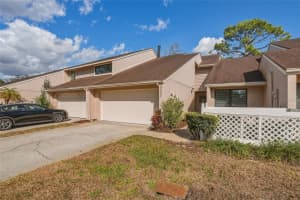 4203 HARTWOOD LANE, TAMPA, FL 33618 - MLS#MFRTB8478199