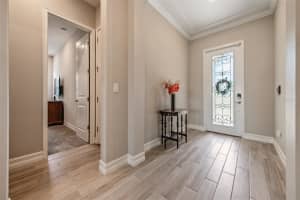 19920 CYPRESS BRIDGE DRIVE, ODESSA, FL 33556 - MLS#MFRTB8478216