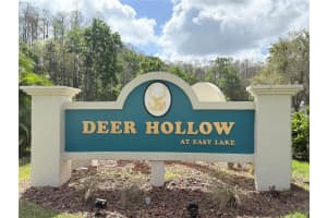 1441 PINE GLEN LANE, TARPON SPRINGS, FL 34688 - MLS#MFRTB8478225