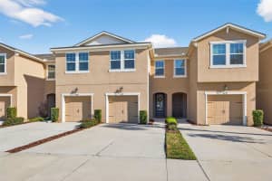 6227 SCARLET DARTER WAY, TAMPA, FL 33625 - MLS#MFRTB8478253