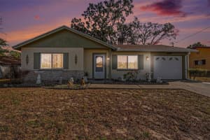 11116 MARQUETTE STREET, SPRING HILL, FL 34609 - MLS#MFRTB8478261