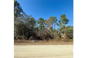 0 MACASSAR ROAD, WEEKI WACHEE, FL 34614 - MLS#MFRTB8478268