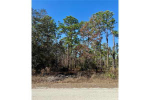 0 MACASSAR ROAD, WEEKI WACHEE, FL 34614 - MLS#MFRTB8478268