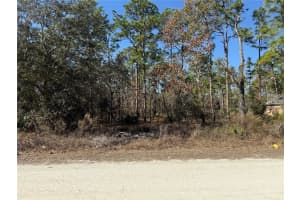 0 MACASSAR ROAD, WEEKI WACHEE, FL 34614 - MLS#MFRTB8478268