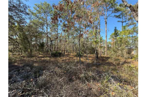 0 MACASSAR ROAD, WEEKI WACHEE, FL 34614 - MLS#MFRTB8478268