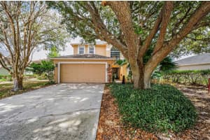 24809 HYDE PARK BOULEVARD, LAND O LAKES, FL 34639 - MLS#MFRTB8478282