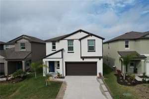 3141 Oyster Cove St, WIMAUMA