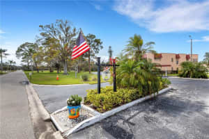205 DOGWOOD CIRCLE, SEMINOLE, FL 33777 - MLS#MFRTB8478316