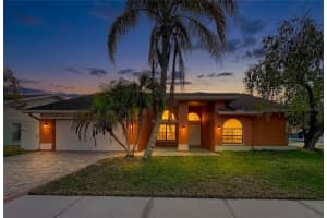 8601 CHADWICK DRIVE, TAMPA, FL 33635 - MLS#MFRTB8478319