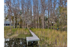 3812 LITTLE ROAD, LUTZ, FL 33548 - MLS#MFRTB8478341