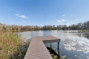 3812 LITTLE ROAD, LUTZ, FL 33548 - MLS#MFRTB8478341