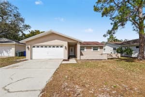 1290 AMBERLEA DRIVE, DUNEDIN, FL 34698 - MLS#MFRTB8478360