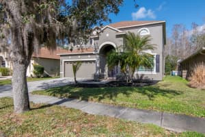19159 CYPRESS GREEN DRIVE, LUTZ, FL 33558 - MLS#MFRTB8478368