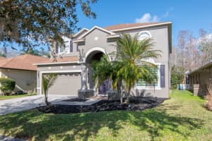 19159 CYPRESS GREEN DRIVE, LUTZ, FL 33558 - MLS#MFRTB8478368