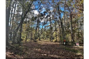 4503 CEDAR LANE, BROOKSVILLE, FL 34601 - MLS#MFRTB8478406