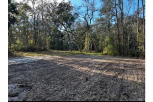 4503 CEDAR LANE, BROOKSVILLE, FL 34601 - MLS#MFRTB8478406